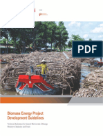 17-07-17 Biomass Guidelines EN.pdf