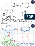 Ciclos Del Agua para Colorear PDF