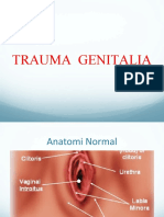 trauma-genitalia wanita.ppt