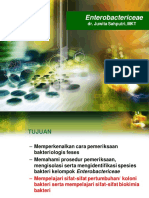 25264_Praktikum Enterobactericeae pdf.pdf