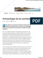 Antropologia de Los Sentidos - Todos PDF