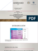 Presentacion Exposicion