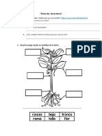 Ficha de Las Plantas