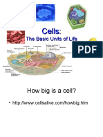 Cell Parts 09-0
