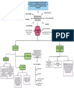 Mapa Conceptual