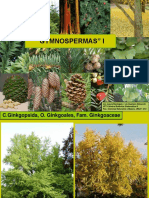 Gimnospermas I (gin-pinop).pdf