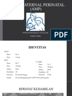 AMP Audit Maternal Perinatal