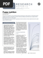 Download Research_Report_Puppy_Nutrition by enigmaticmerkaba SN47981020 doc pdf
