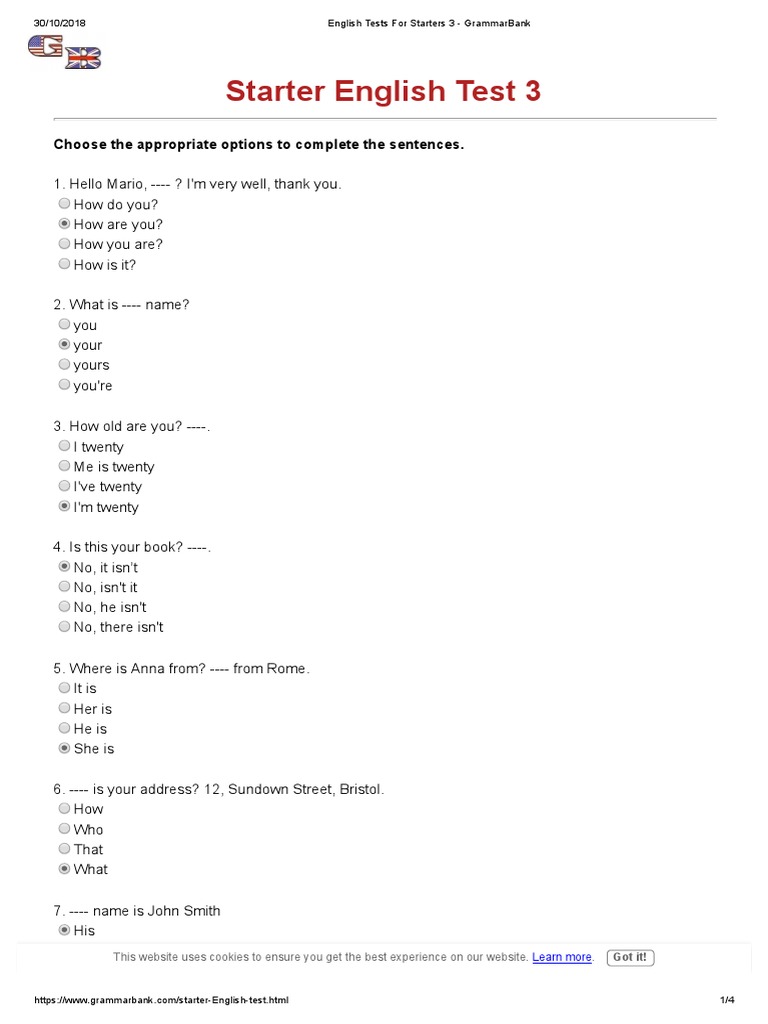 English Tests For Starters 3 - GrammarBank | PDF | Learning | Cognition