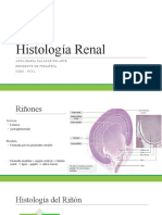 Histología Renal AMS 