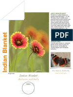 Indian Blanket Species Description Page