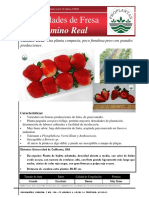 FICHA TECNICA FRESA Camino Real PDF