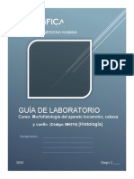 Guia de Lab Morfo Locomotor 2020 1