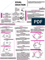 concept map sexual reproduction