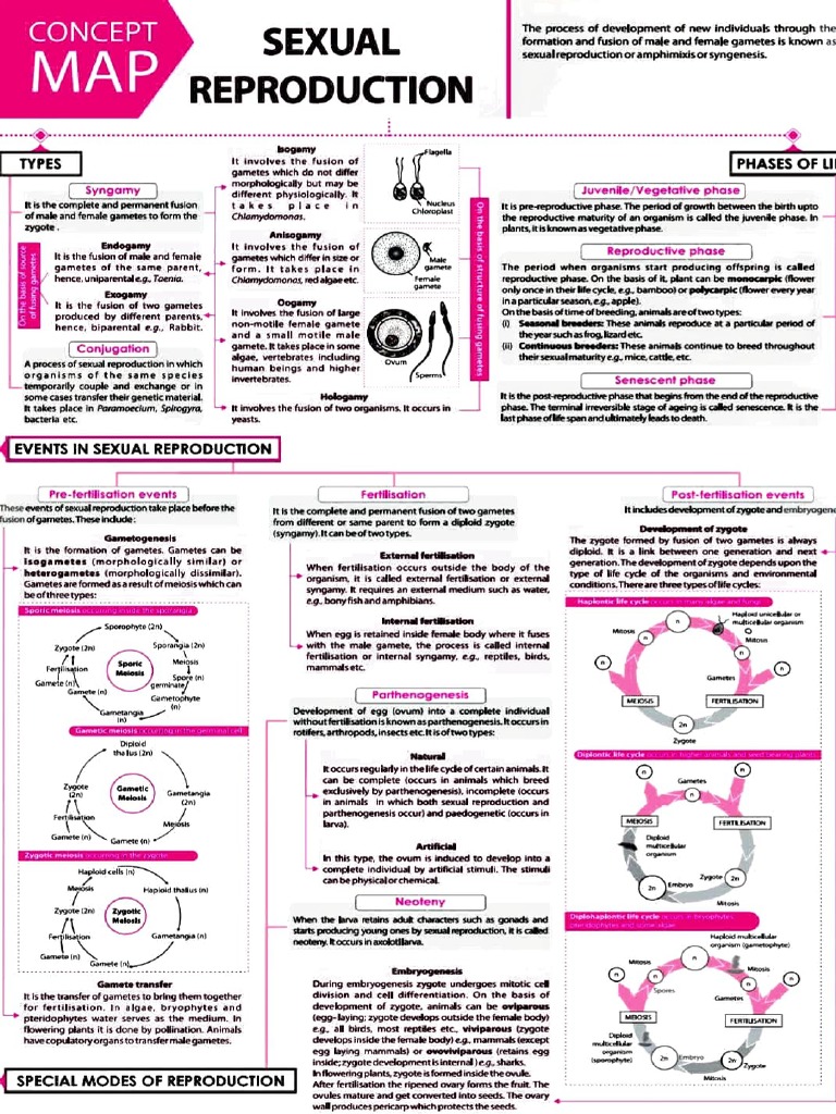 Sexual Reproduction Concept Map | PDF | Fertilisation | Sexual Reproduction