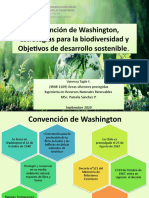 Convención de Washington, Estrategias para La Biodiversidad