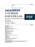 Progreso Cavidad Zapatillas: Elevación Artificial de Producción de Pozos Petroleros