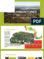 GUACHIMONTONES