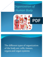 1.1The Organization of the Human Body