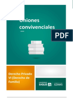 4_Uniones convivenciales.pdf