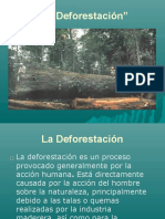 Deforestación: El desafío ambiental