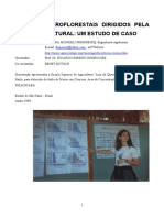 Mongeli Fabiana - Estudo de caso SAF.pdf