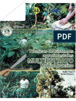 Técnicas SAFs Manual Multiestrato.pdf