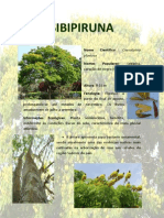 SIBIPIRUNA