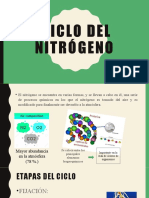 Ciclo Del Nitrógeno