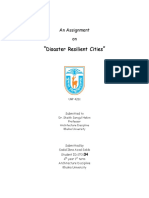 Disaster Resilient Cities: An Assignment On