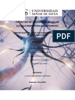 Neuronas Grupo 5 PDF
