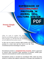 Expression of Proteins in Animal Cell Culture System: Recombinant