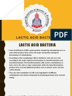 Lactic Acid Bacteria PDF