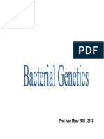 Bacterial Genetics