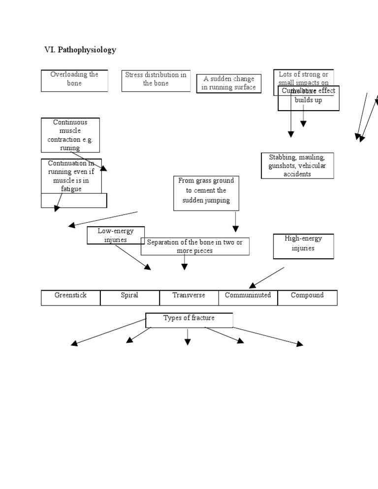 Pathophysiology bone fracture(tibia)