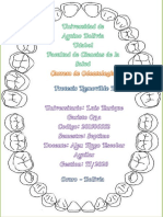 Removible Ii Tarea