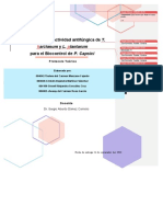 Protocolo Teorico Final PDF