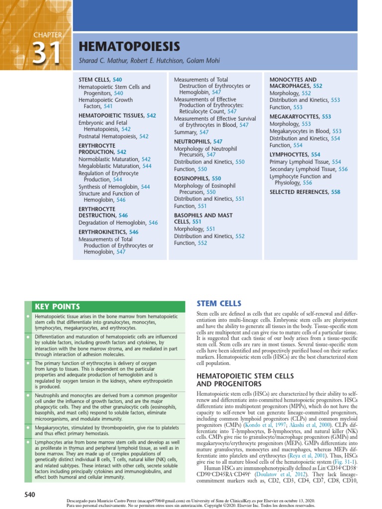 Chapter 31 - Hematopoiesis | PDF | Hematopoietic Stem Cell | Haematopoiesis