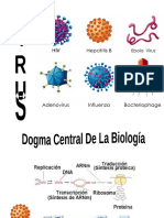 Virus. Diapositivas