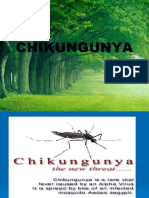 Baru Chikungunya