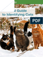 IdentificationBooklet_web