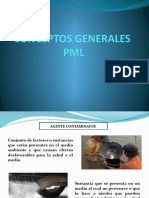 Conceptos Generales PML