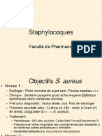 Staphylocoques