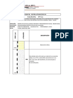 Perfil Estratigrafico - C-1