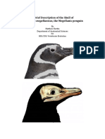 Penguin Skull PDF
