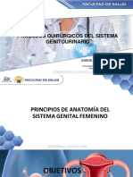 Anatomia General Del Sistema Genitourinario PDF