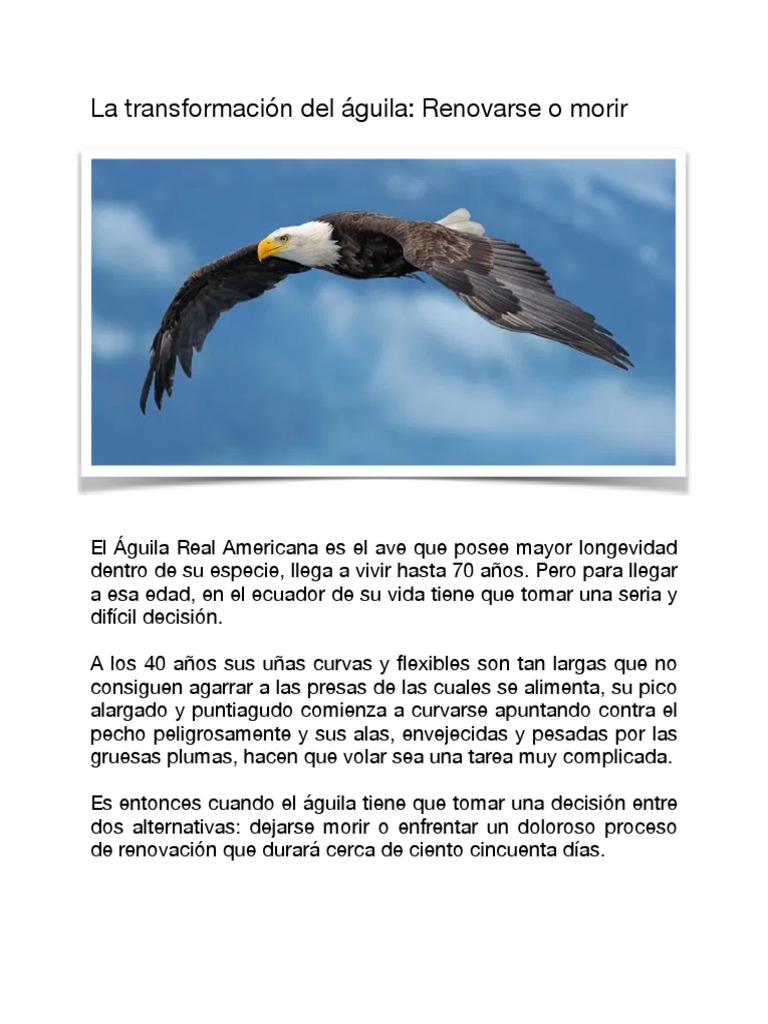 El Aguila. Renovarse o Morir | PDF