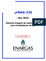 NAG-225.pdf