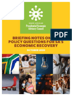 Briefing Notes On Key Political Questions For SA's Economic Recovery