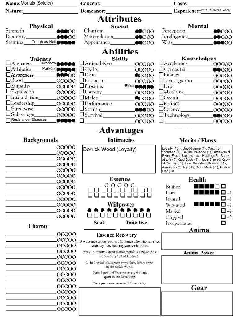 Soldier Character Stats Overview | PDF